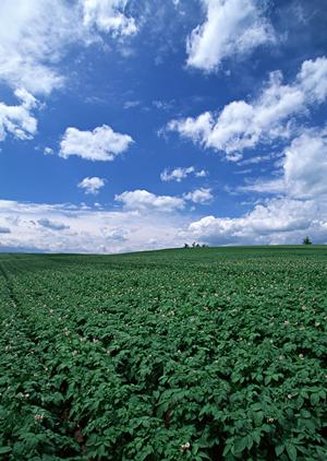 静岡県掛川市の家族葬・一般葬に対応した信頼の葬儀場【富士葬祭 掛川】の詳細情報と特徴