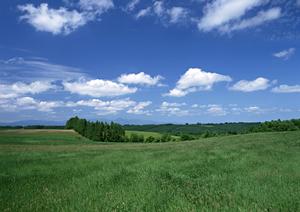 新宿の納骨堂「龍樹堂」について