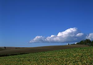 徳島で信頼のおける家族葬のサービス