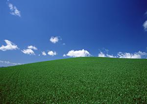 2025年版：川越での葬儀を成功させるための完全ガイド