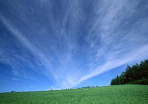 静岡浜松市の家族葬に最適な斎場、富士葬祭佐鳴台の特徴とサービス内容
