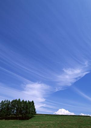 静岡県藤枝市の家族葬専門斎場｜安心価格と温かいサービスの家族葬のタクセル高柳