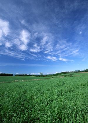 【静岡県島田市】家族葬から一般葬まで対応可能な富士葬祭 島田の葬儀サービスと特徴