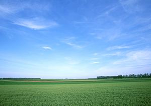 静岡県浜松市に新規オープン！家族葬に最適なタクセル葵西の詳細情報と特徴