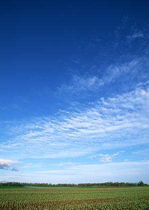 静岡市清水区の安心・低価格な家族葬なら「家族葬のタクセル北矢部町」｜2022年4月オープンの新斎場紹介