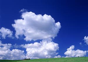 静岡県焼津市に新規オープン！家族に優しい低価格の家族葬専門斎場「家族葬のタクセル西焼津」紹介