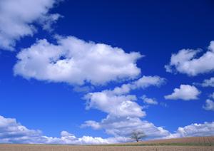 藤枝市で信頼できる葬儀場をお探しなら【富士葬祭 藤枝御苑】：家族葬・一般葬に対応した最新式斎場