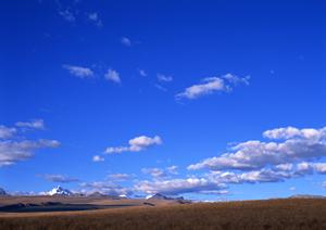 家族葬を行う会社が春日部市にある