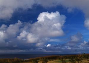 家族葬を川越でするならこの会社で