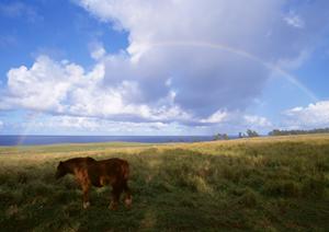 静岡県浜松市中央区の家族葬専門斎場『家族葬のタクセル住吉』の特長と利用メリット