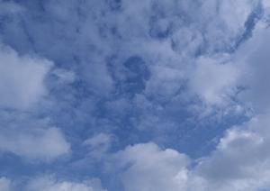 仏壇引越しを検討しているならクマダです