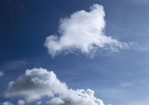 資格を持ったスタッフが相談に乗ります