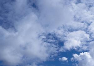 ご家族の思いご本人の思いどちらでも