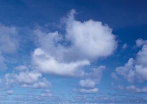 永代供養がついている東京の納骨堂