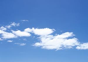 静岡で大切なペットの供養を行うなら