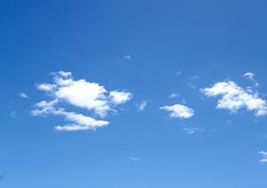 栃木県宇都宮市における家族葬専門ホール「家族葬のタクセル下岡本町」の詳細と特徴