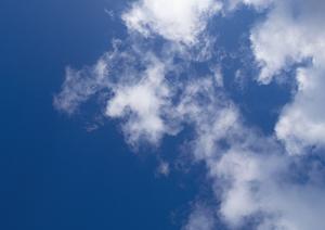 位牌も今では通販で購入できるのです