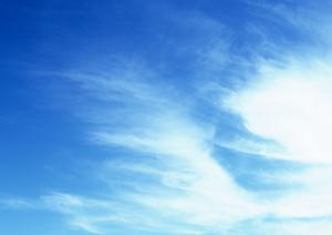 青山梅窓院墓苑と東京に住む方の樹木葬