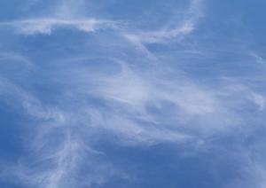 便利な場所で永代供養を行っている