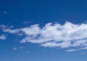 野田市における安心・信頼の葬儀サービスを提供する【ティア野田】の詳細情報と特徴解説