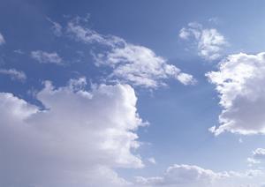 京都で墓地の購入を考えているなら