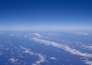 焼津市で納骨堂を探しているなら