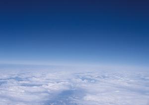 大阪で自然豊かな場所で樹木葬を実現！永代供養の新しい選択肢